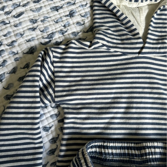 Tucker + Tate Striped Dino Sweatsuit Set - Picture 5 of 9